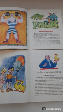 Медведев обыкновенный великан книга