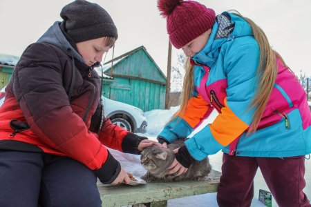 Добрые дела