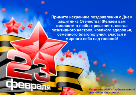 Поздравления с 23 февраля