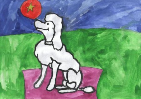 Белый пудель Куприн рисунок