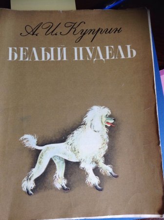 Пудель Арто Куприн