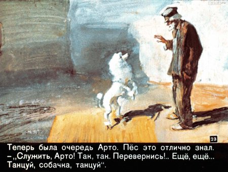Белый пудель Арто