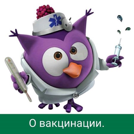 Смешарики Совунья доктор