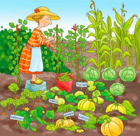 Грядка с овощами для детей