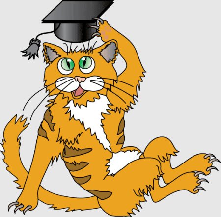 Кот ученый
