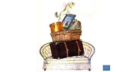 Самуил Маршак багаж