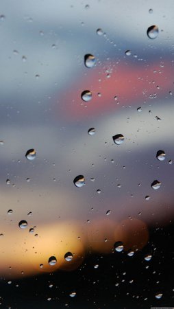 Фотообои телефон