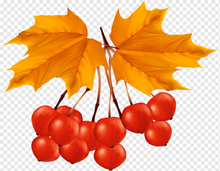 Осенние листочки картинки