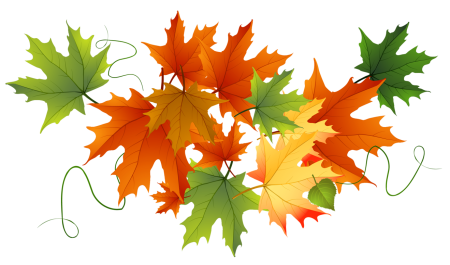 Осенние листья