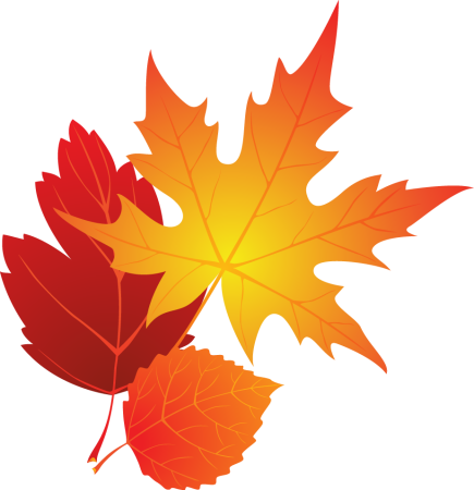 Кленовый лист