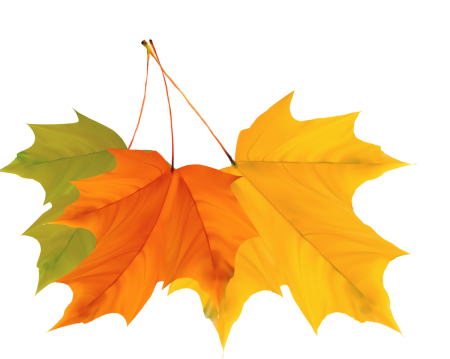 Осенние листочки