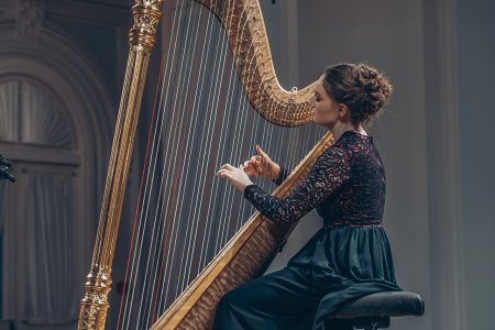 Семёнова Надежда арфа