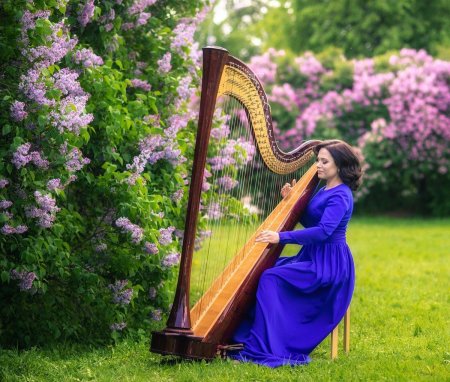 Арфа с арфисткой