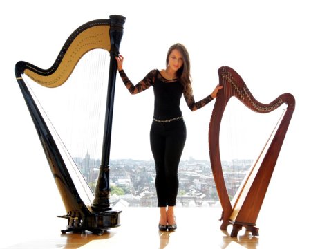 Перевоз арфы