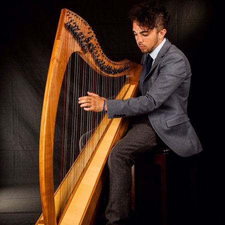 Ольбинский арфа