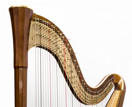 Андская арфа