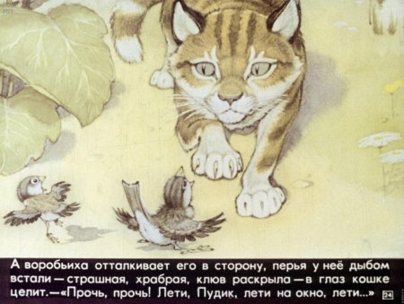 Иллюстрация к рассказу Воробьишко Горького