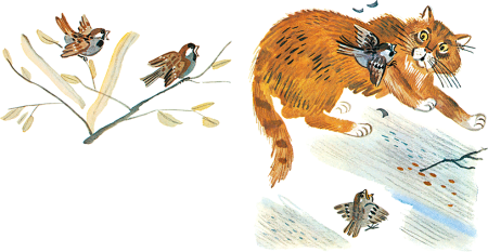 Максима Горького Воробьишко