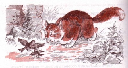 Горький Воробьишко кот