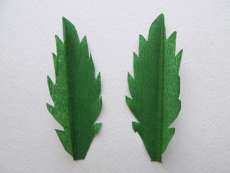 Листья ромашки