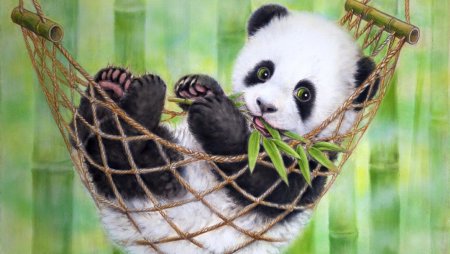 Обои на рабочий стол животные