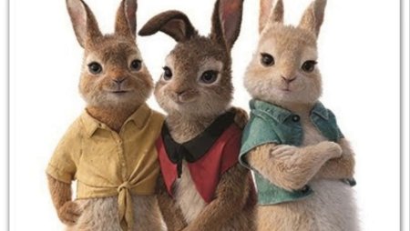 Кролик Питер 2 Пикси