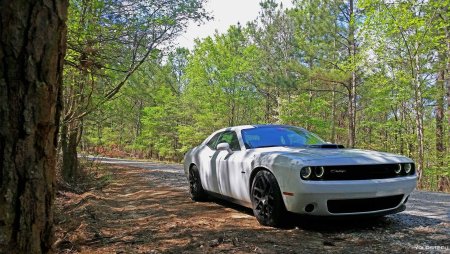Dodge Challenger 4к