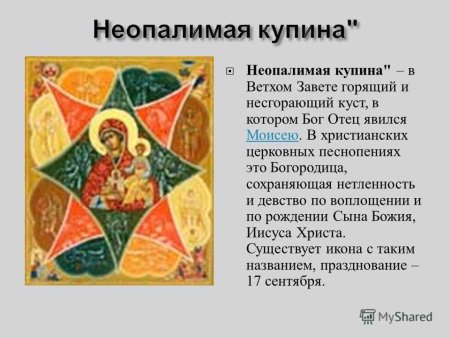 Икона Неопалимая Купина