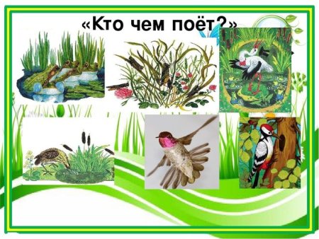 Виталий Бианки "кто чем поет?"