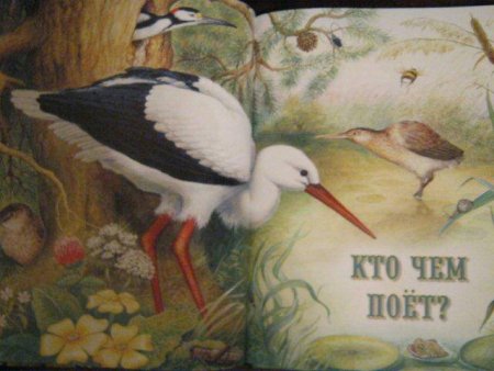 Кто чем поет иллюстрации