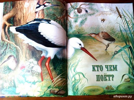 Книга кто чем поет Бианки