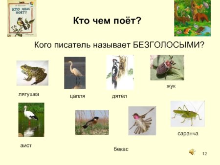 Кто чем поет?