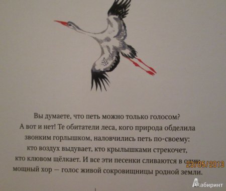 Рассказ кто чем поет