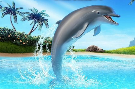 Всемирный день китов и дельфинов