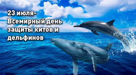 Всемирный день китов (день защиты морских млекопитающих)