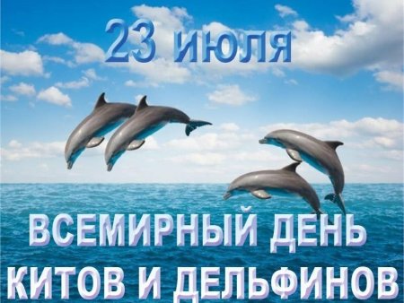 23 Июля праздники Всемирный день китов и дельфинов