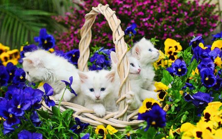 Кот в цветах