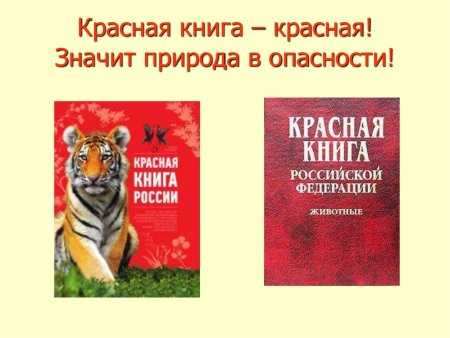 Красная книга для детей животные
