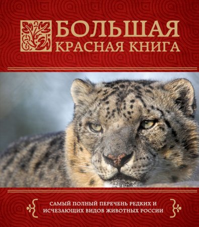 Большая красная книга Скалдина