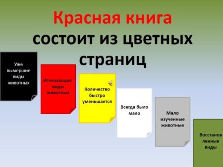 Какие страницы есть в красной книге