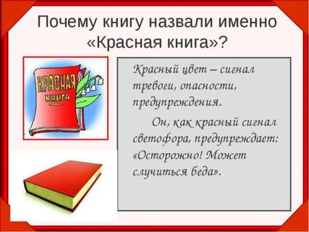 Красная книга