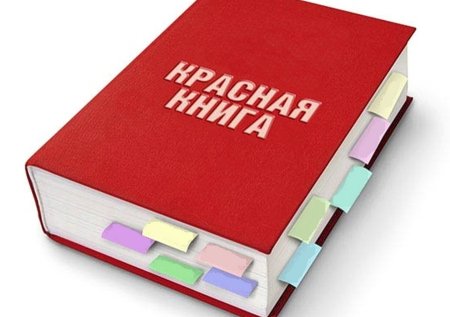 Международная красная книга