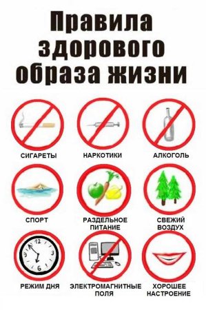 Здоровый образ жизни
