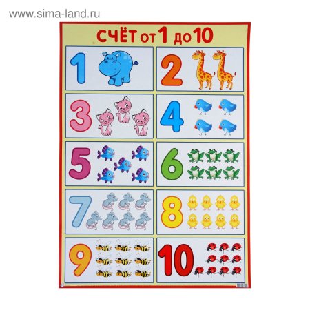 Цифры и счет