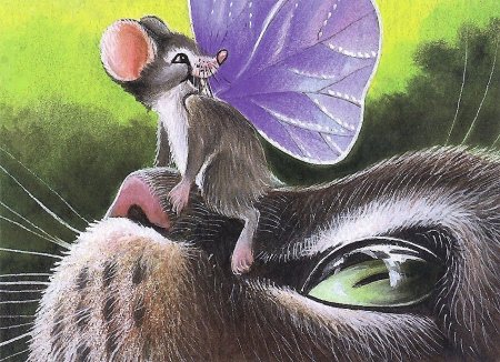 Кот и мышка