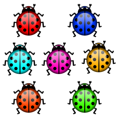 Разноцветные жучки