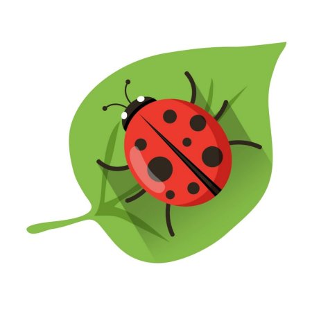 Божья коровка на листике