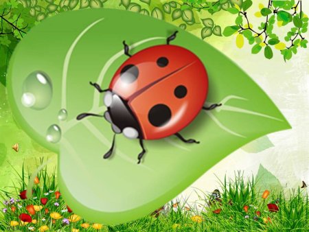 Божья коровка для детского сада