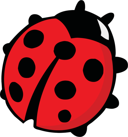 Леди баг Божья коровка