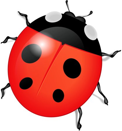 Божья коровка для детей